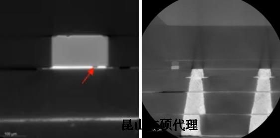 丰满蔡司丰满X射线显微镜